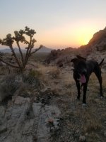 118761567_331356254966849_1740703340717444603_n (1).jpg