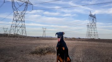 449779683_10161705612960350_2147282986858587720_n_10161705612965350.jpg 449779683_10161705612960350_2147282986858587720_n_10161705612965350.jpg