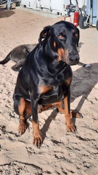 449776733_10161705601625350_1223421400923502490_n_10161705601630350.jpg 449776733_10161705601625350_1223421400923502490_n_10161705601630350.jpg