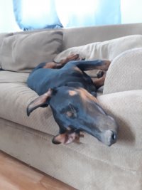 449782396_10161705598795350_7733064018254572476_n_10161705598800350.jpg 449782396_10161705598795350_7733064018254572476_n_10161705598800350.jpg