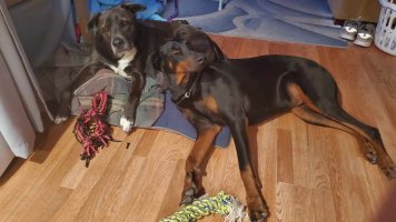 Brothers (4).jpeg Brothers (4).jpeg