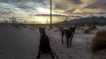 Brothers (34).JPG Brothers (34).JPG