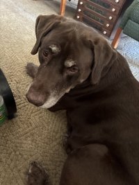 IMG_2562.jpeg
