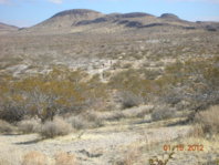 DSCN1692.JPG DSCN1692.JPG