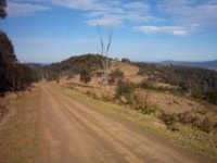 Allan River Ride 230604 40.jpg