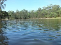 Cessnock Ride 040211 16.JPG