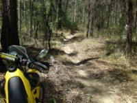 Ride Day 240211 17.JPG