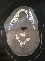 430938_358677150811468_164054523607066_1490225_1257025145_n.jpg 430938_358677150811468_164054523607066_1490225_1257025145_n.jpg