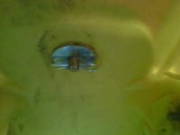 seatpin3.jpg seatpin3.jpg