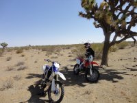 Shangralah 42812 126.JPG Shangralah 42812 126.JPG