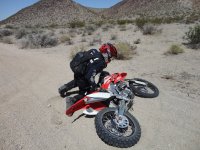 Shangralah 42812 128.JPG Shangralah 42812 128.JPG