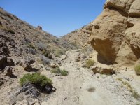 Shangralah 42812 142.JPG Shangralah 42812 142.JPG