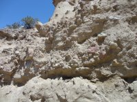 Shangralah 42812 146.JPG Shangralah 42812 146.JPG