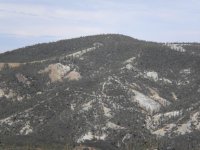 Resize of DSCN0387.JPG