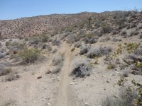 CC Memorial Day 2012 007.JPG CC Memorial Day 2012 007.JPG