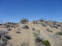 CC Memorial Day 2012 008.JPG CC Memorial Day 2012 008.JPG