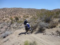 CC Memorial Day 2012 009.JPG CC Memorial Day 2012 009.JPG