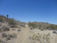 CC Memorial Day 2012 012.JPG CC Memorial Day 2012 012.JPG