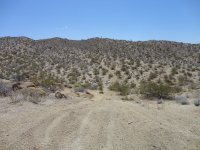 CC Memorial Day 2012 019.JPG CC Memorial Day 2012 019.JPG