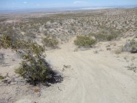 CC Memorial Day 2012 020.JPG CC Memorial Day 2012 020.JPG