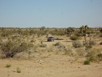 CC Memorial Day 2012 045.JPG CC Memorial Day 2012 045.JPG