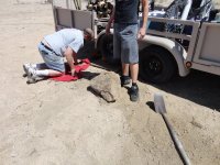 CC Memorial Day 2012 095.JPG