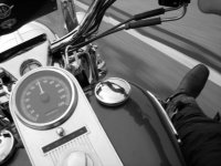 general 082.JPG general 082.JPG