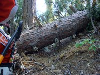 DSC06078.jpg DSC06078.jpg