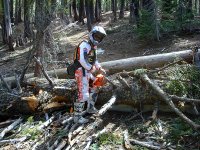 DSC06068.jpg DSC06068.jpg