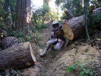 DSC06079.jpg DSC06079.jpg