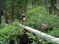 DSC06108.jpg DSC06108.jpg