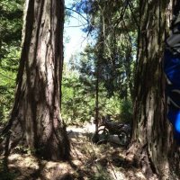 seq big.jpg seq big.jpg