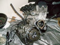 ENGR Open.jpg ENGR Open.jpg