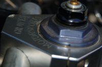 graves1.JPG graves1.JPG