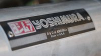 Yoshi2.JPG