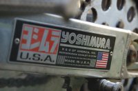 yoshi3.JPG yoshi3.JPG