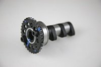2007 YZ250F hotcams intake camshaft.jpg