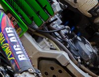 100_crop.jpg 100_crop.jpg