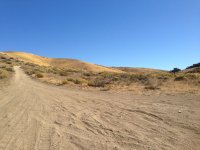 IMG_0207.jpg IMG_0207.jpg