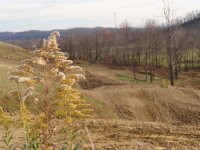 DSC00176.JPG DSC00176.JPG