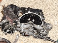 DSC00203.JPG DSC00203.JPG