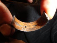 DSC00209.JPG DSC00209.JPG