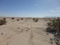 TDay 2012 061.JPG TDay 2012 061.JPG