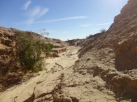 TDay 2012 123.JPG TDay 2012 123.JPG