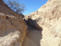 TDay 2012 124.JPG TDay 2012 124.JPG