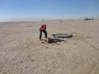 TDay 2012 130.JPG TDay 2012 130.JPG