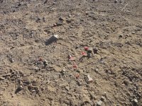 Stoddard to the Husky Nov 2012 007.JPG