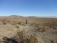 Stoddard to the Husky Nov 2012 014.JPG