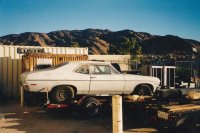 IMG_0065.jpg IMG_0065.jpg