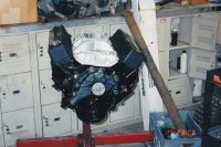 IMG_0081.jpg IMG_0081.jpg